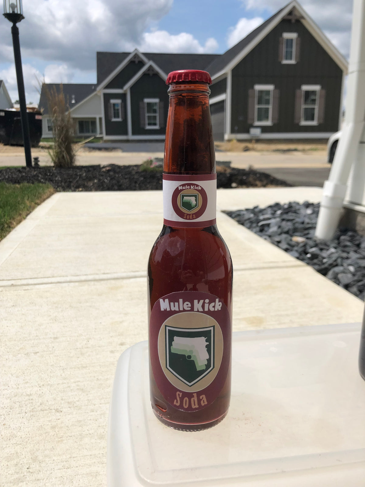 Mule Kick